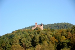 Wasgau Burgenland (1)